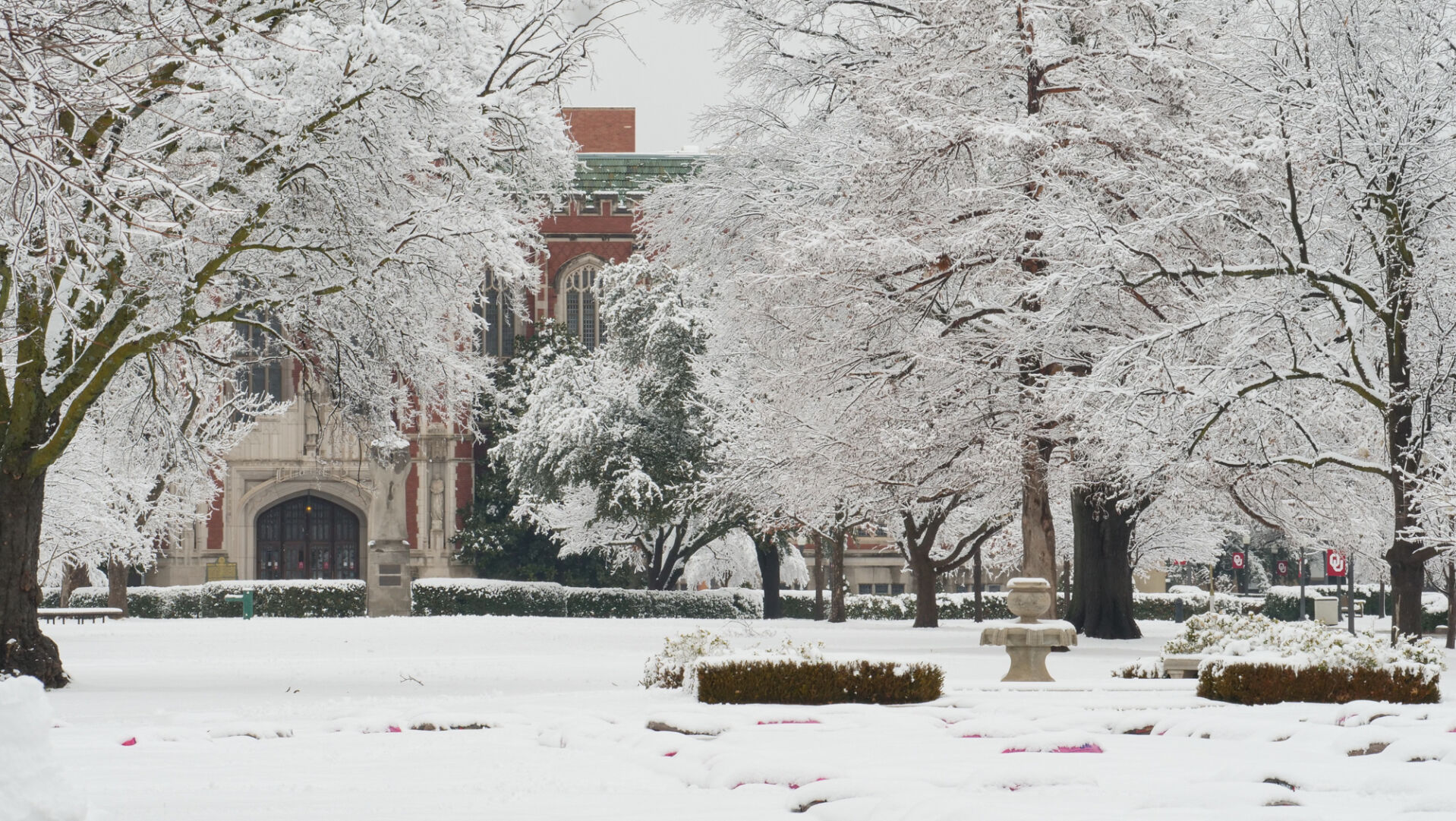 Snow on the South Oval